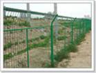 sell wire mesh fence/window screen netting/metal mesh