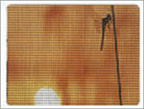 Insect Screen