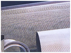 Stainless Steel Wire Mesh
