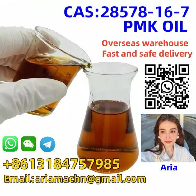 CAS 28578-16-7 PMK ethyl glycidate PMK oil/powder