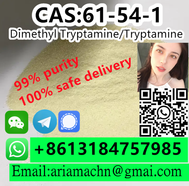 CAS 61 54 1 Dimethyl Tryptamine