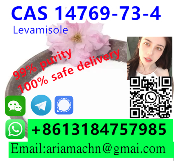 Levamisole CAS 14769 73 4