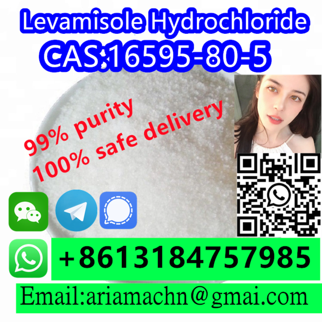 CAS 16595-80-5 Levamisole Hydrochloride 