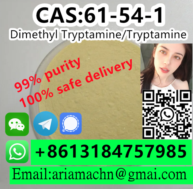 CAS 61-54-1 dimethyl tryptamine/tryptamine 