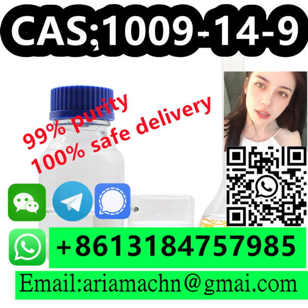 Pentanophenone CAS 1009 14 9