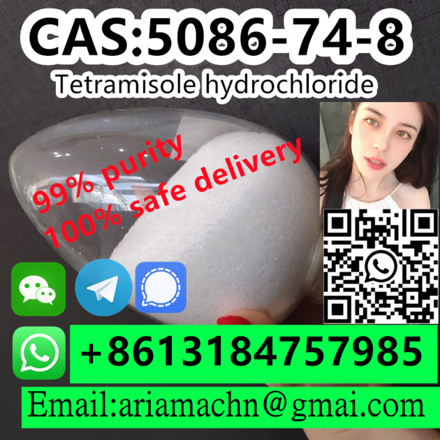 Tetramisole Hydrochloride CAS 5086 74 8