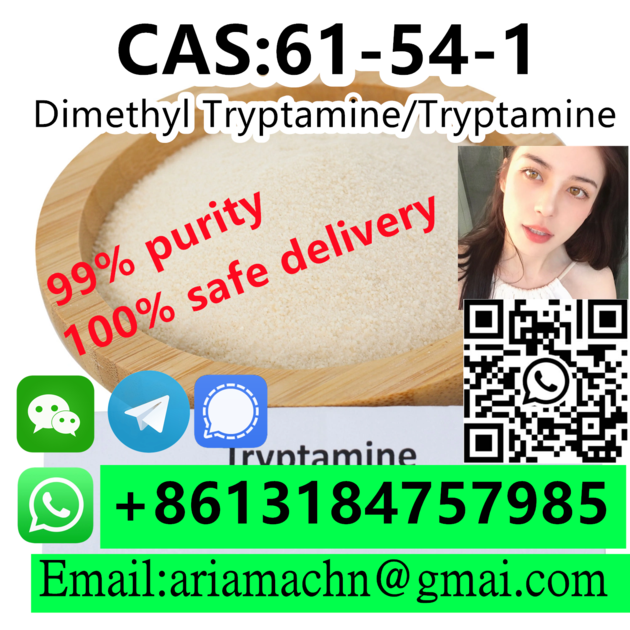 CAS 61 54 1 Dimethyl Tryptamine