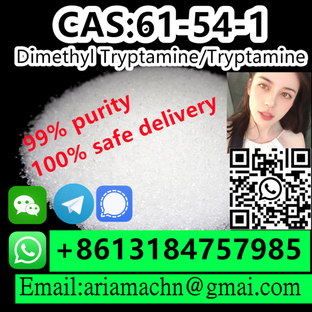 CAS 61 54 1 Dimethyl Tryptamine