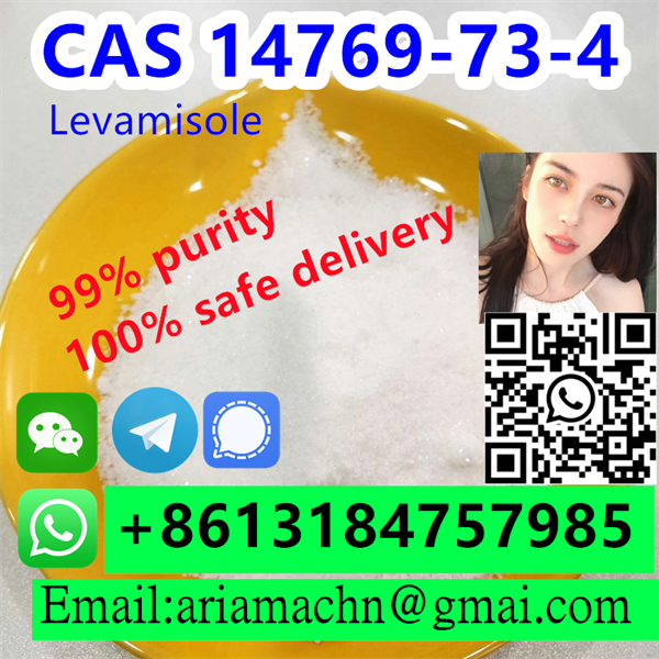 Levamisole CAS 14769 73 4