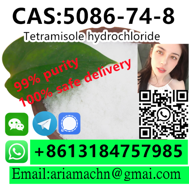 Tetramisole Hydrochloride CAS 5086 74 8