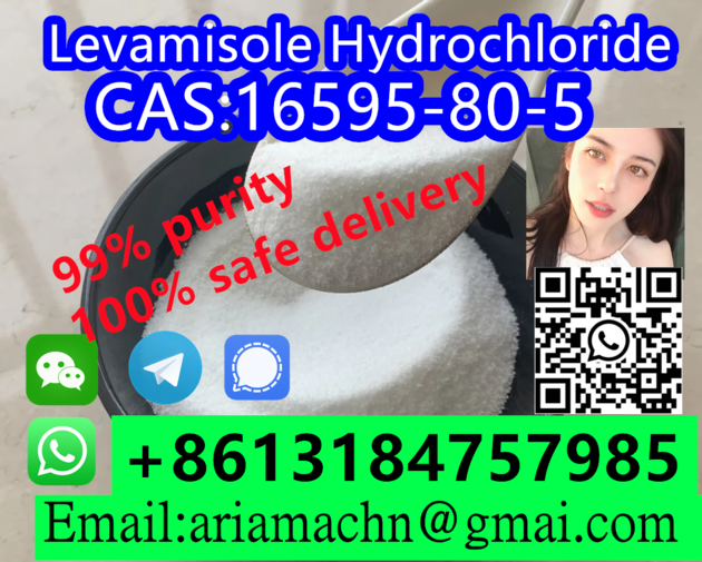 CAS 16595 80 5 Levamisole Hydrochloride
