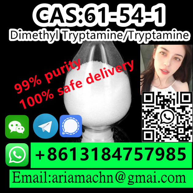 CAS 61 54 1 Dimethyl Tryptamine