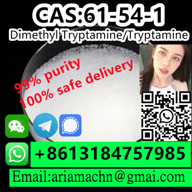 CAS 61 54 1 Dimethyl Tryptamine