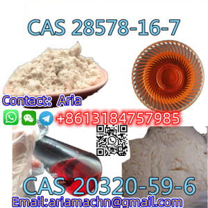 49851 31 2 Cas 49851 31