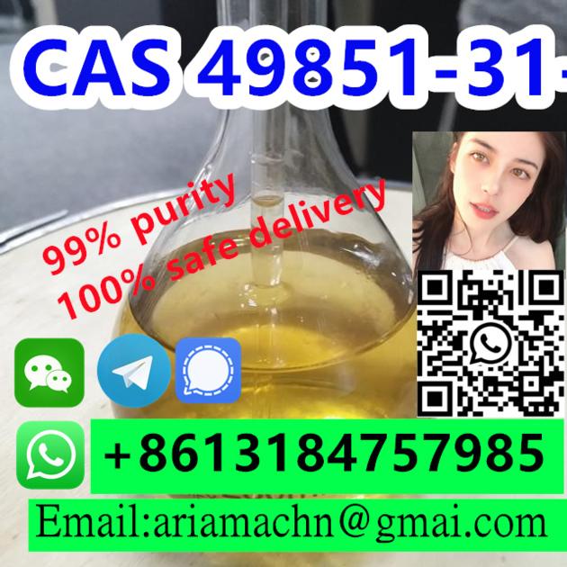 49851 31 2 Cas 49851 31