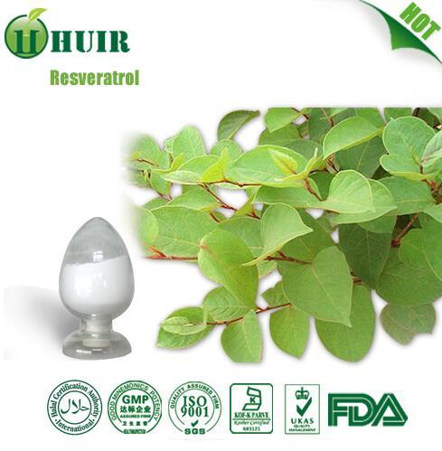 Factory supply high quality resveratrol 50% 