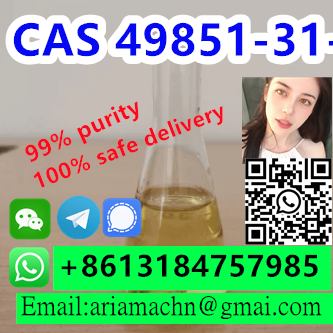 49851 31 2 Cas 49851 31