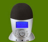 wired and wireless Internet Radio