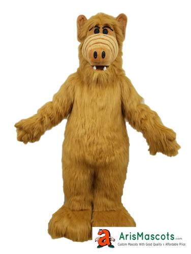 Cartoon Character Mascot Costume For Kids
