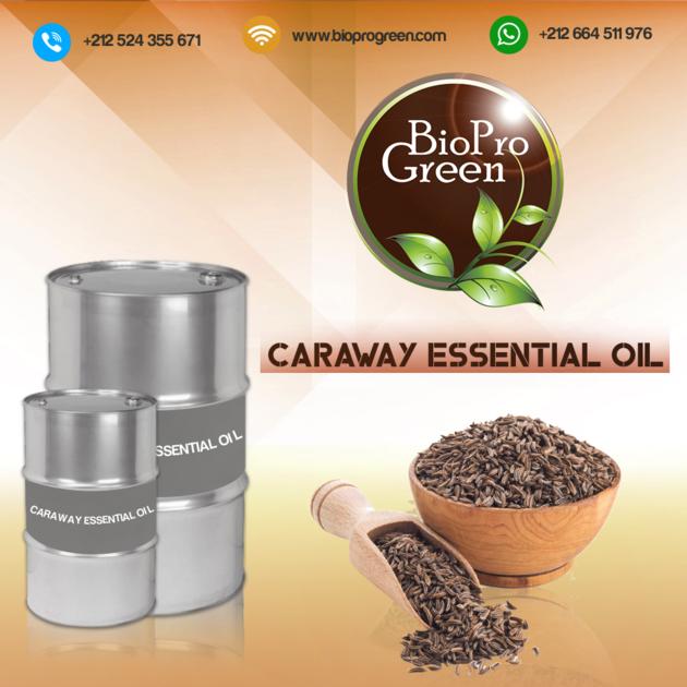 CARAWAY ESSENTIAL OIL