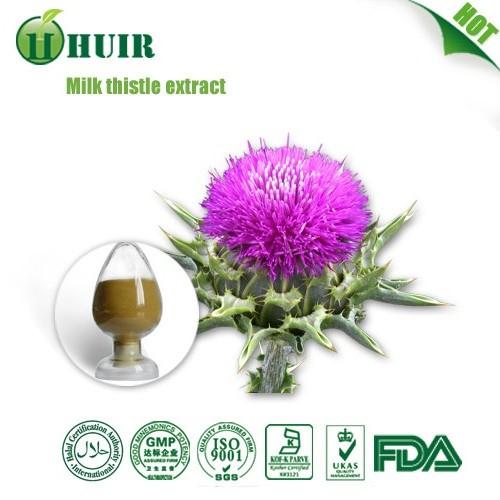 Milk thistle extract