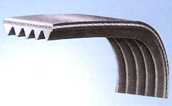 Rubber Poly-v belt(ribbed belt)