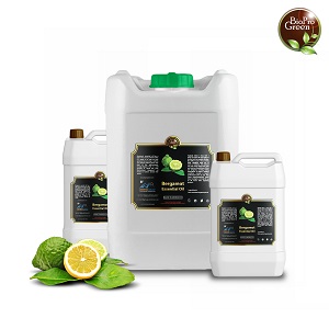 Apricot Kernel Oil