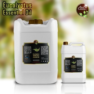 Apricot Kernel Oil