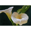 oil painting reproduction