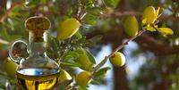 argan oil from morocco