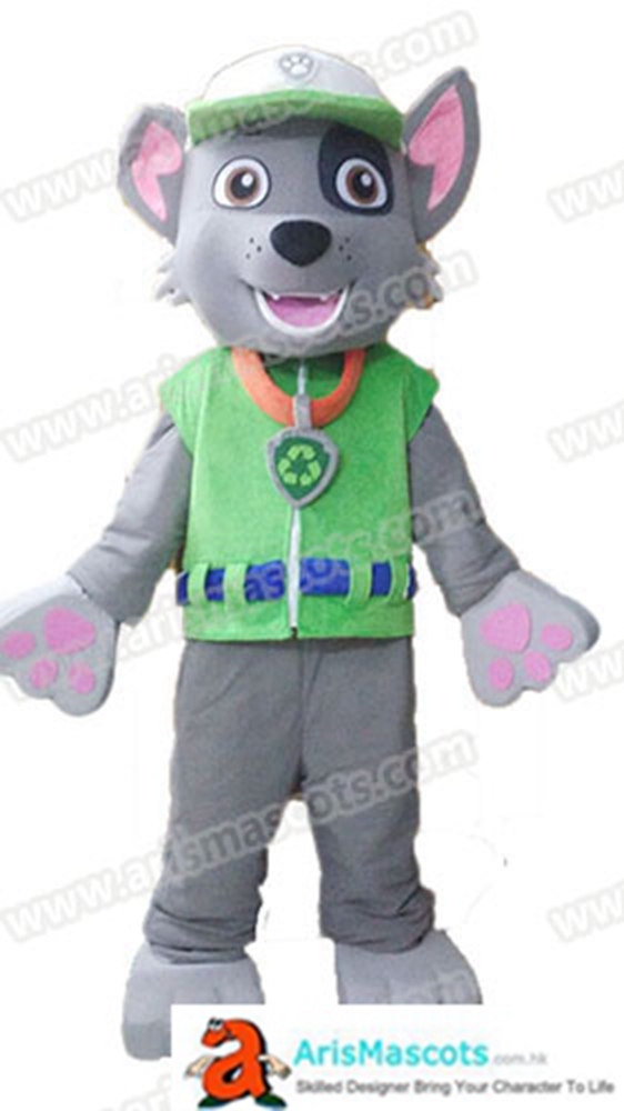 paw patrol rocky mascot,cartoon costumes mascot