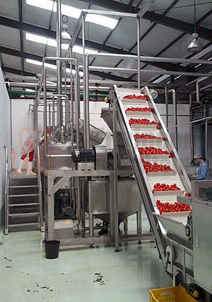 Tomato Processing Line