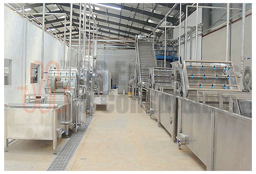 Tomato Processing Line