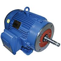 Elektrim Motor