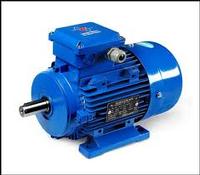 Western Standard IEC Aluminium Motors