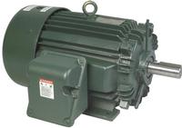 Toshiba Motor