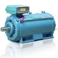 ABB HV Modular induction engineered motor