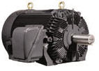  Marathon Motor
