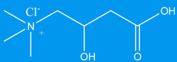 DL-Carnitine HCl