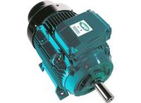 Brook Crompton Motor