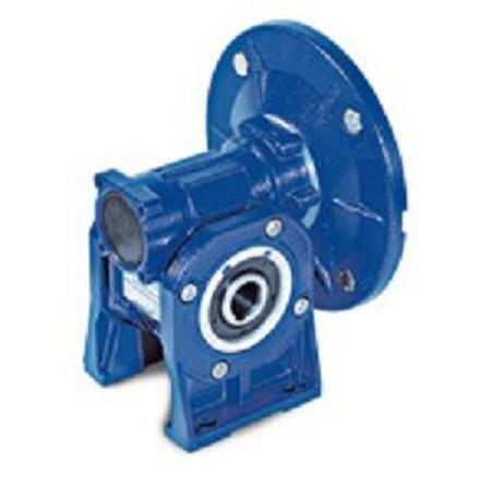 Motovario Speed Reducer