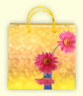 Gift Paper Bag