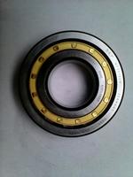 SKF NF309EM cylindrical roller bearing