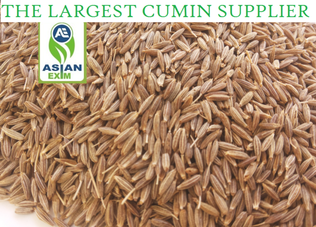 CUMIN SEED