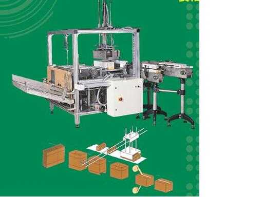 CASE PACKING MACHINE