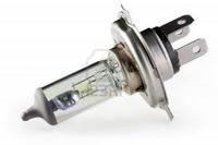 Chevrolet Equinox automobile xenon light