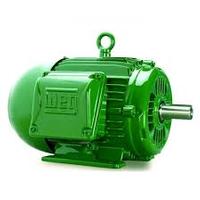 1.WEG Motor