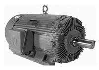 WorldWide Industrial Duty Three-Phase Motors