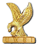 custom medals, plaques, lapel pins, trophies,, team pins