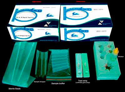 rapid flu test,swine flu test
